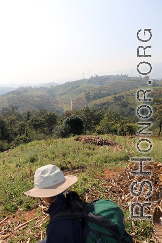 Walking on hillside above the marker, which is roughly at the dark bushy tree right in the middle.  Village in the distance near the power-line tower towards the right.  Back in WWII it is likely there was more forest coverage than now.