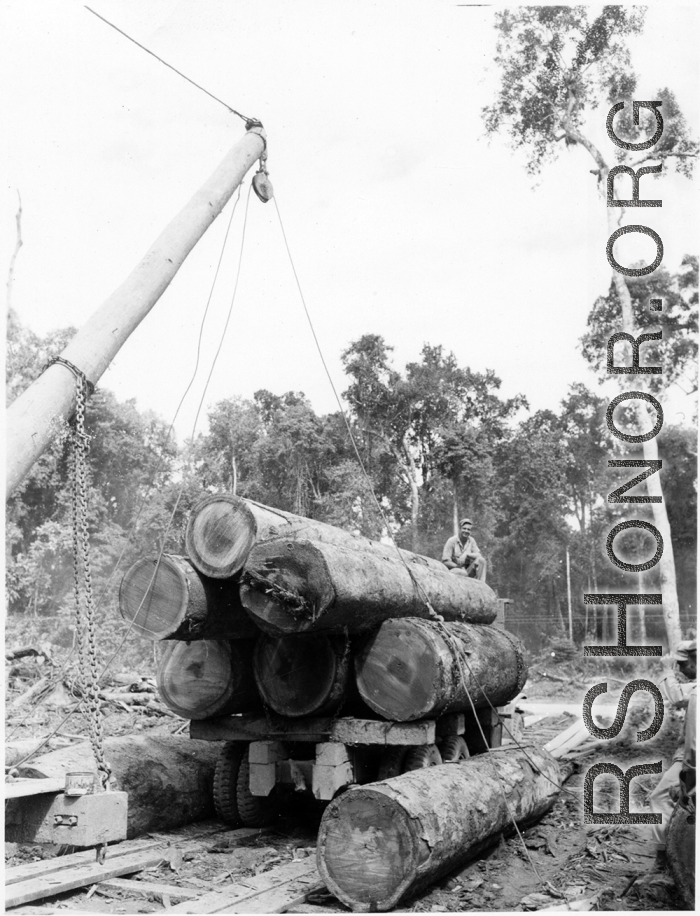 797th Engineer Forestry Company mill in Burma, loading logs for milling for bridge building along the Burma Road.  During WWII.
