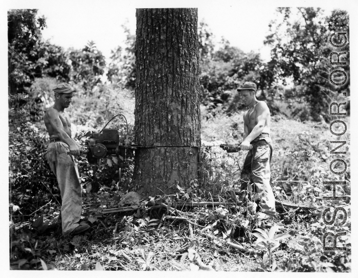 GIs cutting down trees in Burma for lumber mill.  During WWII.  797th Engineer Forestry Company.