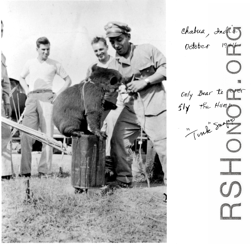 "The only bear to ever fly The Hump." Chabua, India, 1944.  Photo from "Tink" Snapp.