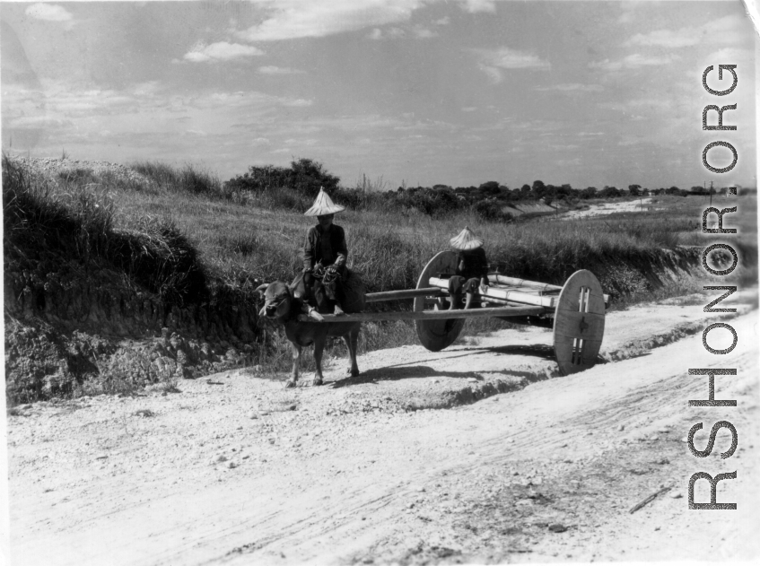 An ox pulls a large wooden-wheel cart at Liuzhou during WWII.
