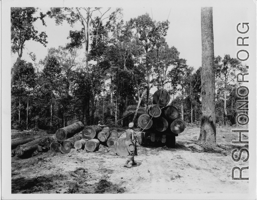 797th Engineer Forestry Company in Burma, loading logs for milling for bridge building along the Burma Road.  During WWII.