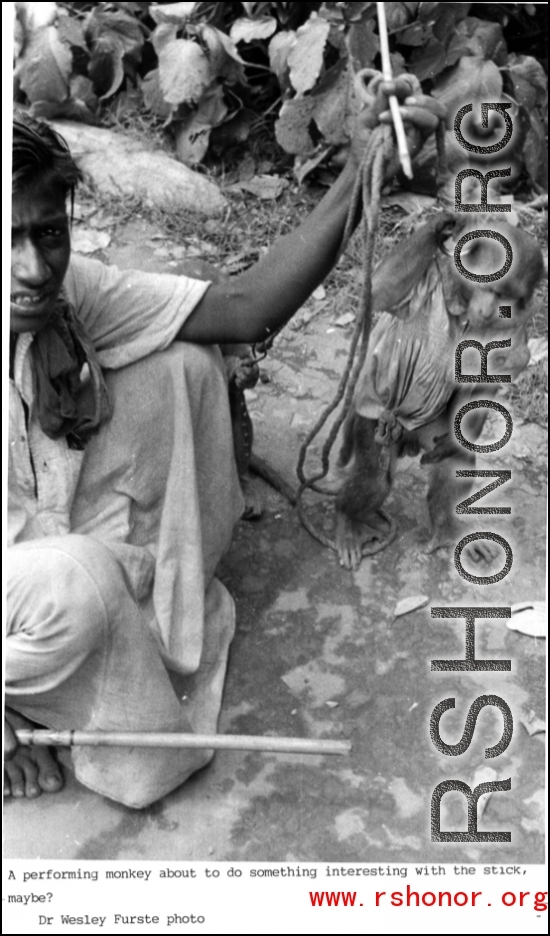 A performing monkey in India during WWII.  Photo from Dr. Wesley Furste.
