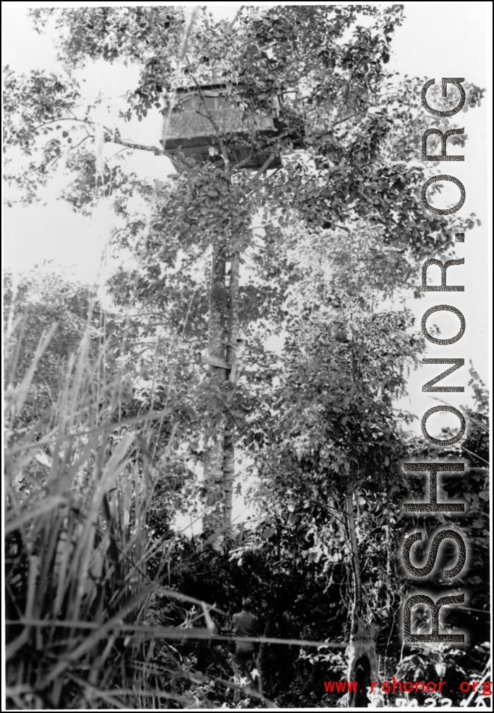 An observation hideout, similar to a tree house, high in a tree in SW China or Burma, during WWII.