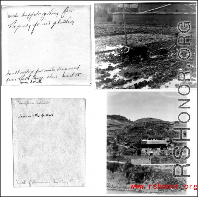 Buffalo plowing near Camp Schiel rest camp, and roadside Buddhist temple north of Kunming. 1945.