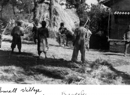 Chinese farmers thresh grain in a small village between Yunnanyi and Kunming, during WWII.  Photo from Beverly Hodges.