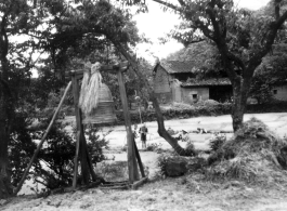 Readying rice sprouts for transplantation in a village in Yunnan province, China. Note the large bell on a stand. During WWII.