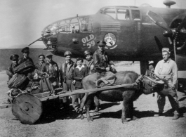 The crew of "Old 59", and well-wisher Barbara Vatter (American Red Cross Nurse at Yangkai) pose for a photo as the crew, after many, many combat missions, prepares to return to the USA. Once back in America they were scheduled to participate in a war bond tour.  Frank Bates had noted, "That's Bill Murphy holding the bull." The crew stands behind the cart, from the left, Capt. Robert Ebey (pilot), Lt Paul Sjoberg (cp), Sgt Francis Donnelly (rg), S/Sgt Lyle Wilson (eg), S/Sgt Rudolph Madsen (ag), Barbara Vatt