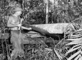 GIs cutting bucking downed trees in Burma for lumber mill.  During WWII.  797th Engineer Forestry Company.