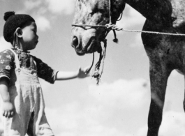 Chinese boy with horse at Chanyi (Zhanyi), during WWII.