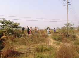 Looking back to the nearby road from the site where the American serviceman's remains are believed to be located.