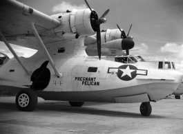 A PBY named 'Pregnant Pelican' in the CBI.