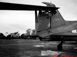 Clipped tail of C-47 transport #315810 in the CBI during WWII.    From the collection of David Firman, 61st Air Service Group.