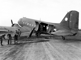 Preparing fence to stable mules before a flight on a C-47, 1944, Burma, 10AF, during WWII.  10th Army Air Force.