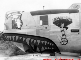 The B-24 bomber "Miss Mandy".