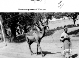 Camel and owner on street, probably near Karachi, India, 1943.  Photo by Frank J. Mueller, USAAF 1942-1946, provided by Mark G. Mueller.