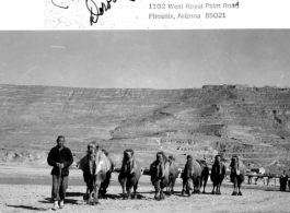 A camel train in northern China during WWII.