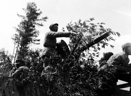 Chinese soldiers with equipment ready and American M3 Scout Car, covered in bamboo branches as camouflage, during exercises in southern China, in Yunnan province.