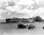 Building in India during WWII.