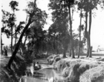 A boat on a canal in Yunnan province, China. During WWII.