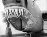 A shark-mouth B-24, the mouth having a unique curl at the back, in a revetment in SW China, likely Sichuan, during WWII. This is a later model B-24 as indicated by the nose turret with two .50 cal machine  guns.