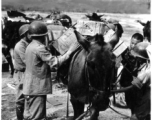 10CU 2nd T.C. Air Supply Sec. Loading supplies onto a mule. One box says in contains cans of string beans.