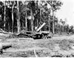 797th Engineer Forestry Company in Burma, loading logs for milling for bridge building along the Burma Road.  During WWII.