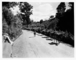 Local people in Burma near the 797th Engineer Forestry Company--A heavily loaded mule train in Burma.  During WWII.
