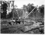 797th Engineer Forestry Company in Burma, loading logs for milling for bridge building along the Burma Road.  During WWII.