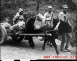 Refugees and Nationalist soldiers flee Guilin and arrive near Liuzhou, in the face of the Japanese Ichigo campaign in the summer/fall of 1944.