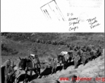 GIs and heavily loaded mule train of the Mars Task Force wending through the hills in the CBI.  U. S. Army Signal Corps photo.