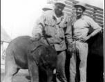 GIs with a baby elephant in the CBI.
