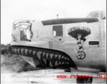 The B-24 bomber "Miss Mandy".