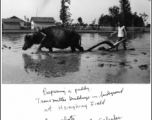 A Chinese farmer plows at rice paddy at Hsinching during WWII, with station transmitter buildings in the background.  Photo from Ed. C. Schaefer.