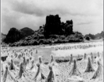 Rice paddy and karst peak at Guilin during WWII.