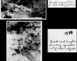 "Brock and Snyder climbing up rocks out of water at falls."  A dam and and falls about 8 miles southeast of the Luliang air base area in Yunnan province, China, where the GIs went to swim and relax. During WWII.